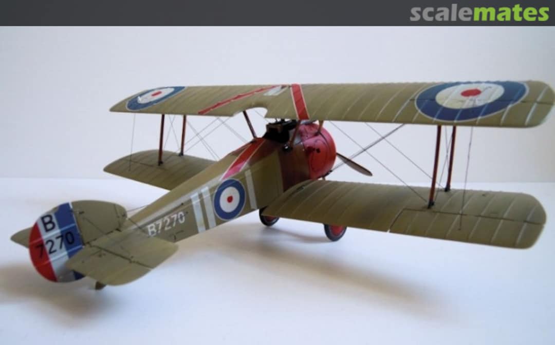 View album, image #1 View album, image #1