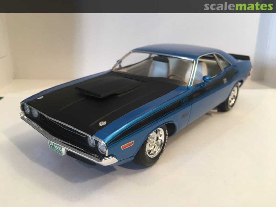 View album, image #1