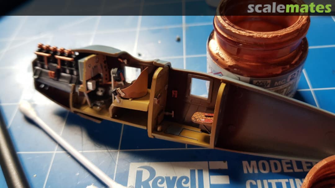 View album, image #1 View album, image #1