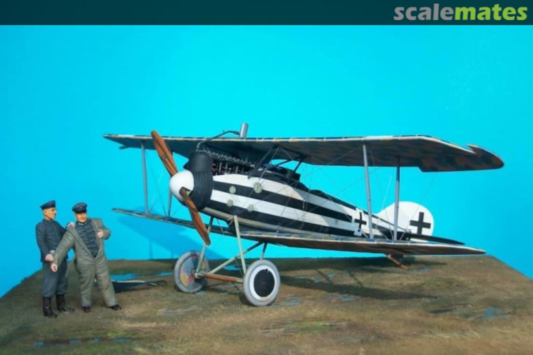 View album, image #1