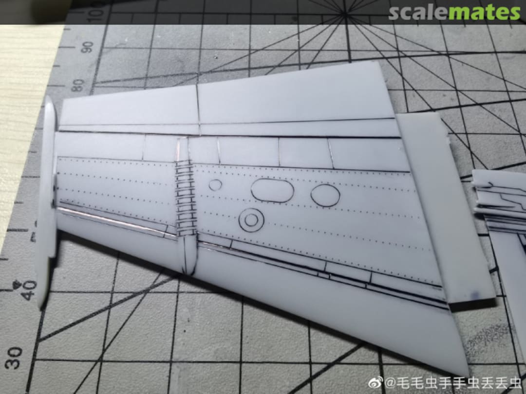 View album, image #16 View album, image #16