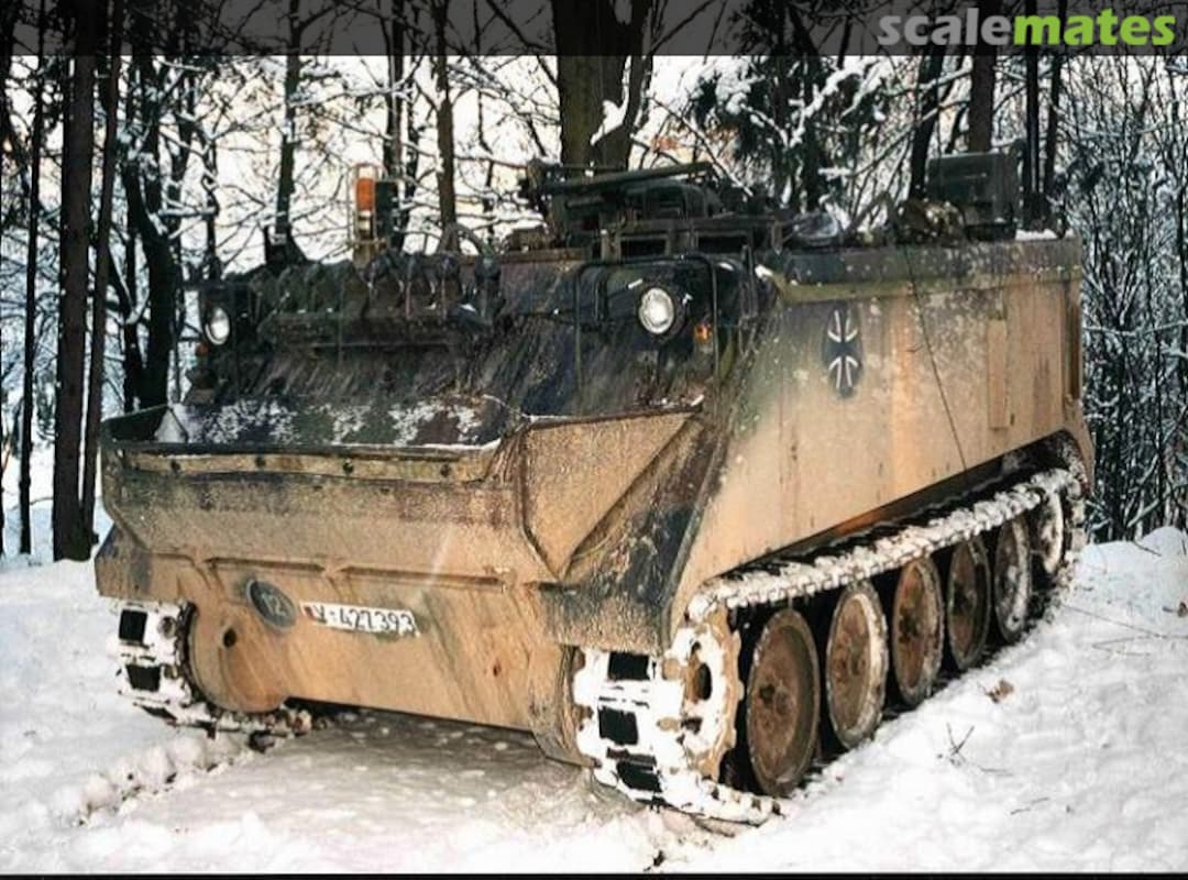 View album, image #1 View album, image #1