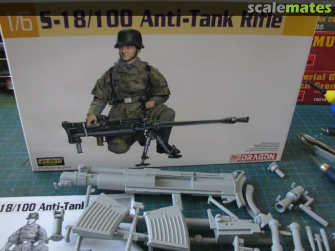 View album, image #1 View album, image #1