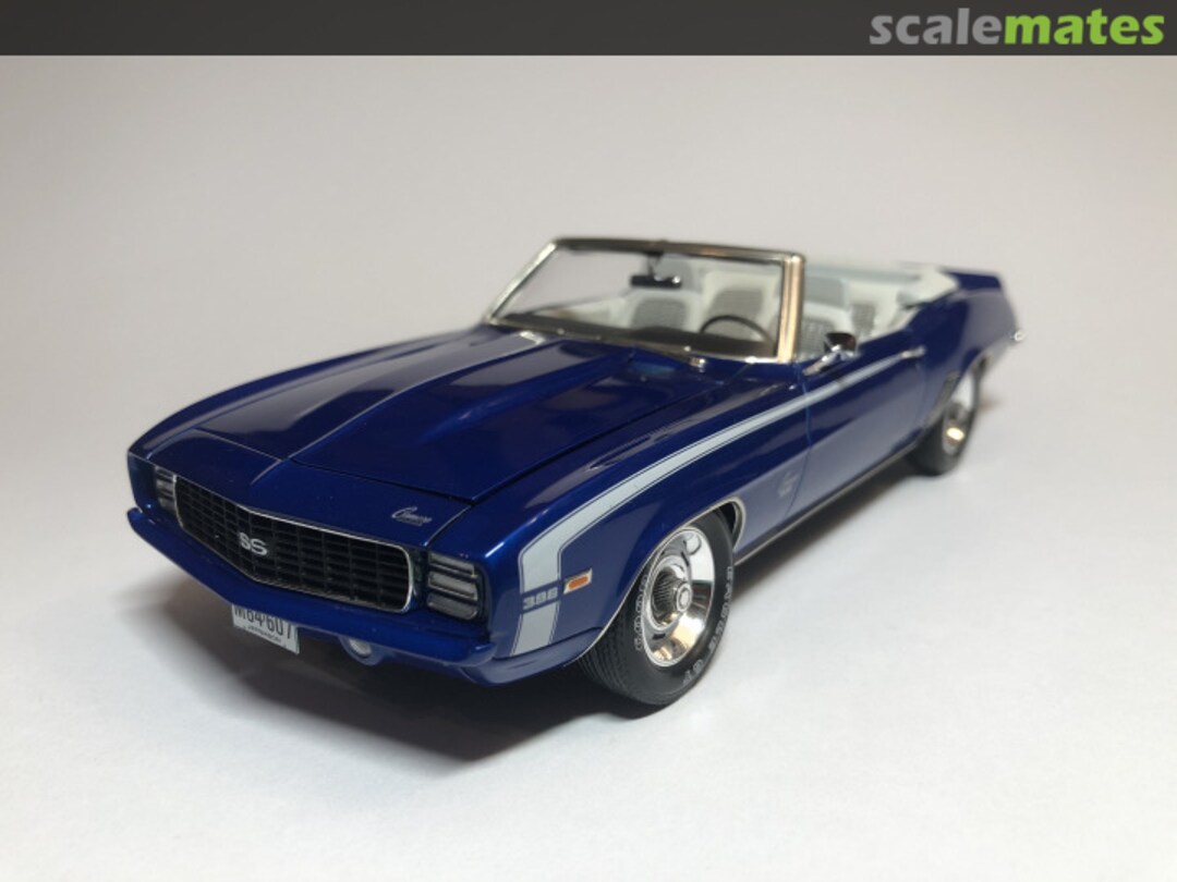 View album, image #1 View album, image #1