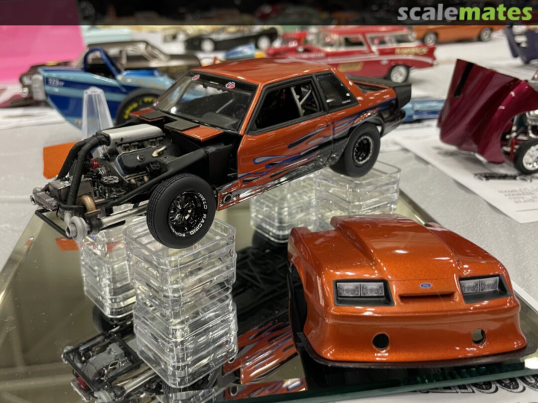 View album, image #1