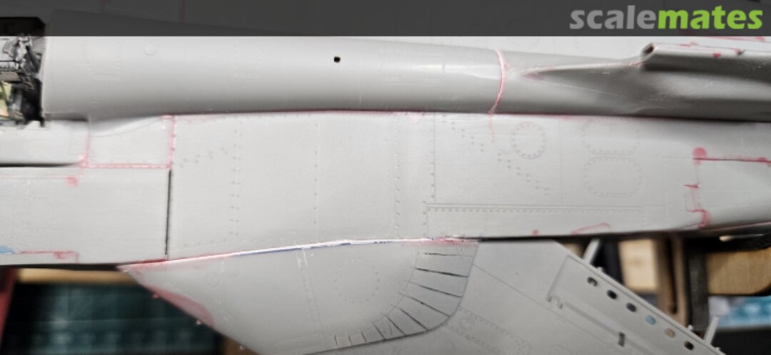 View album, image #1 View album, image #1