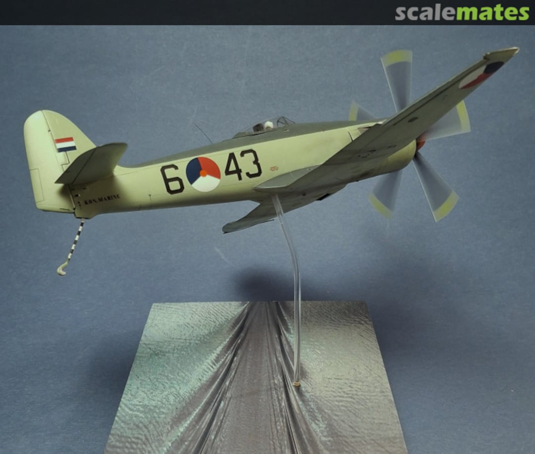 View album, image #27 View album, image #27