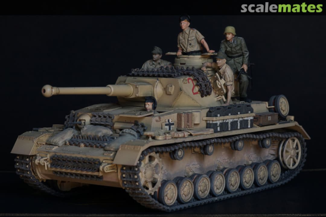 View album, image #11 View album, image #11