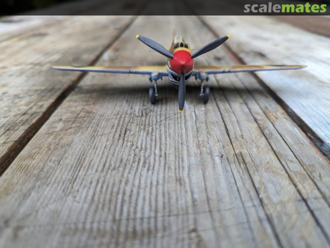 View album, image #1