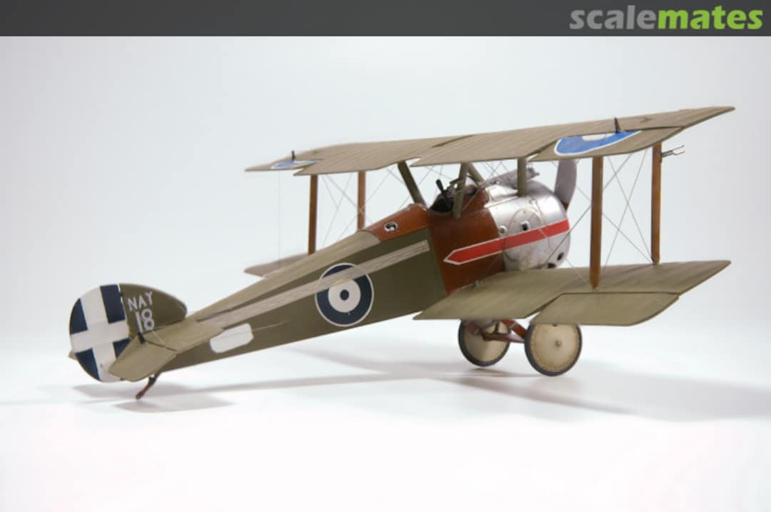 View album, image #5 View album, image #5