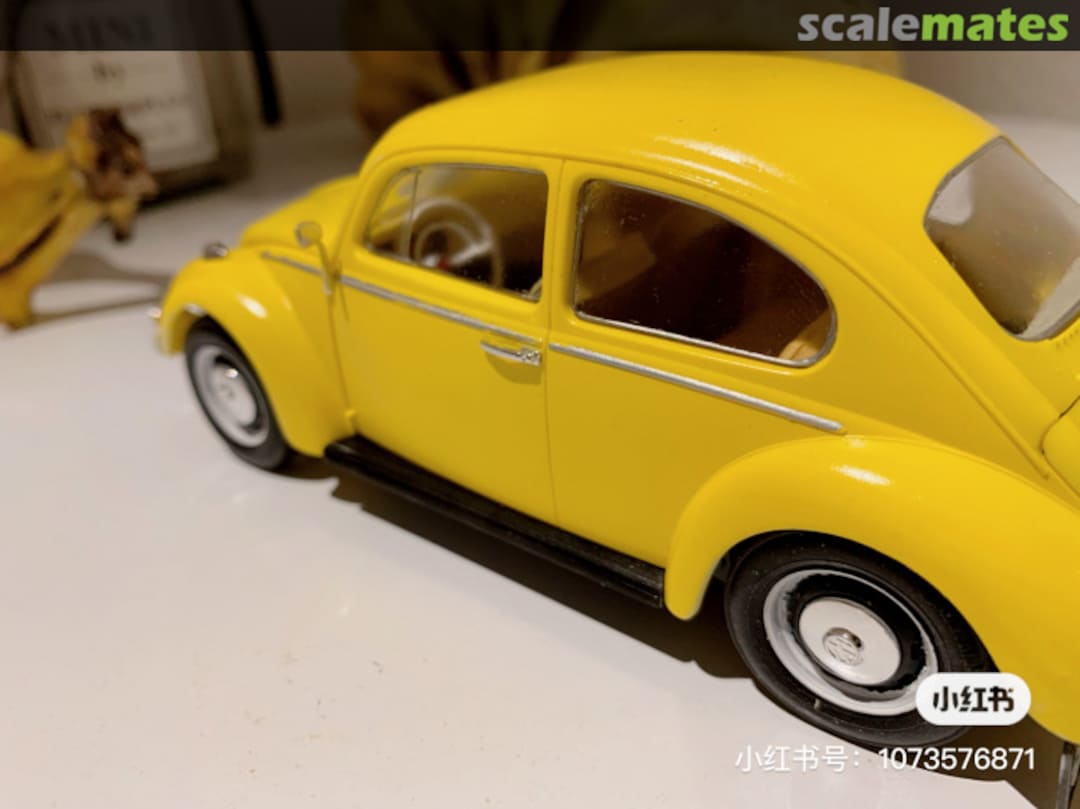 View album, image #1