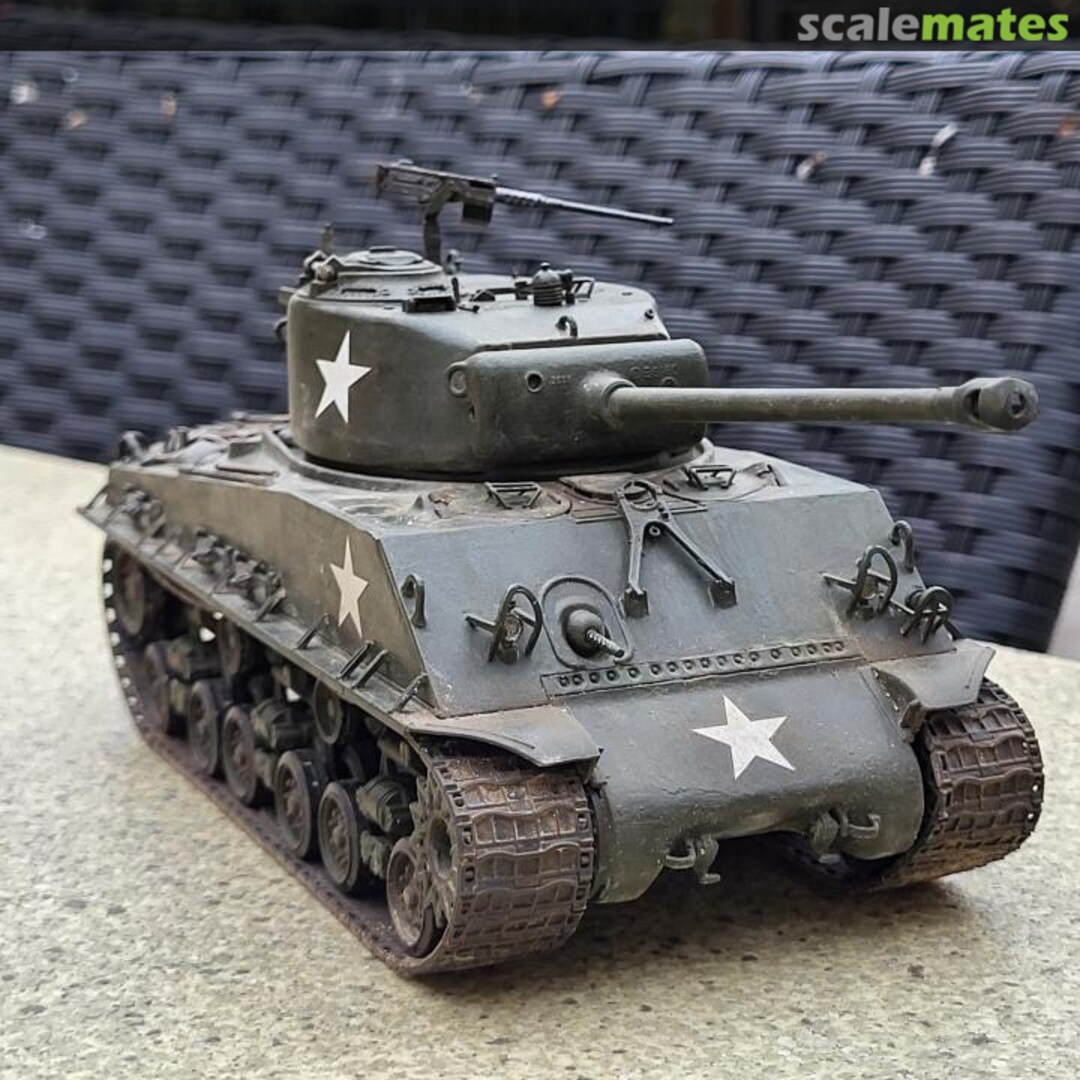 View album, image #5 View album, image #5