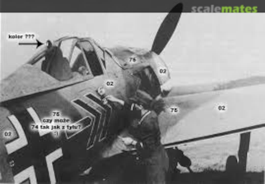 View album, image #1 View album, image #1