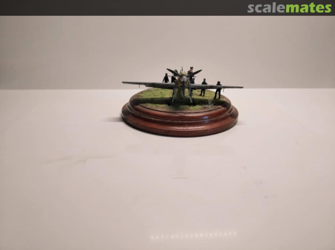 View album, image #1 View album, image #1