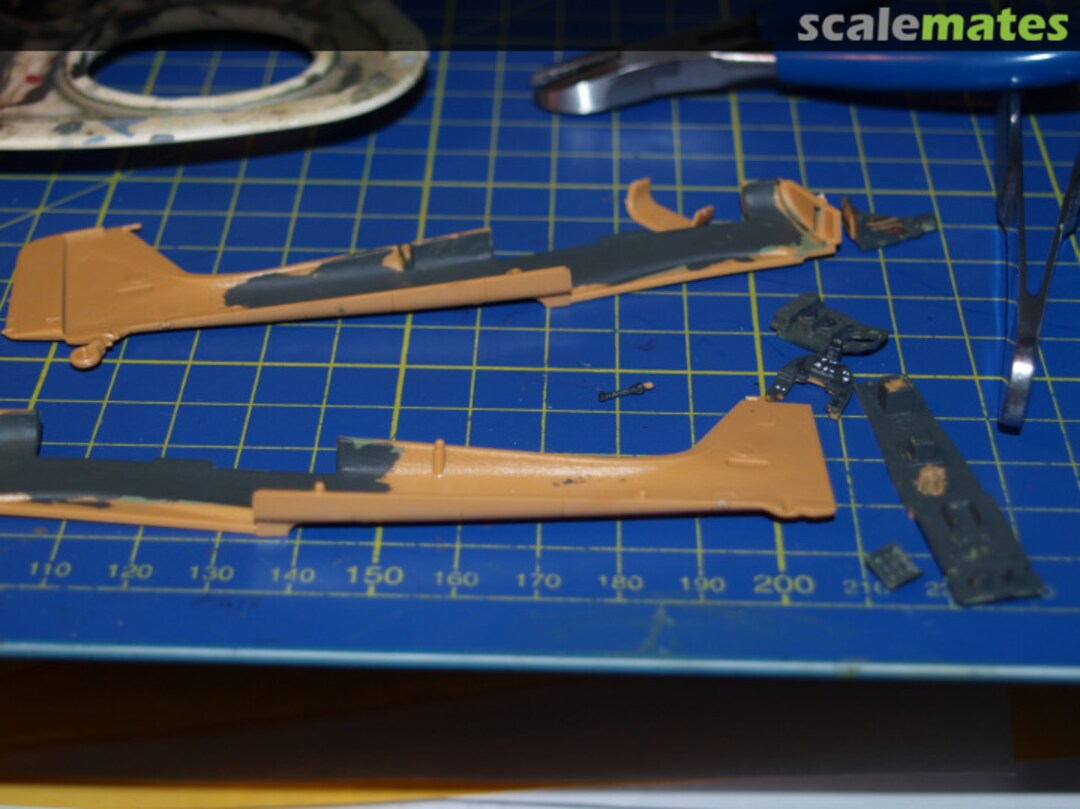 View album, image #1 View album, image #1