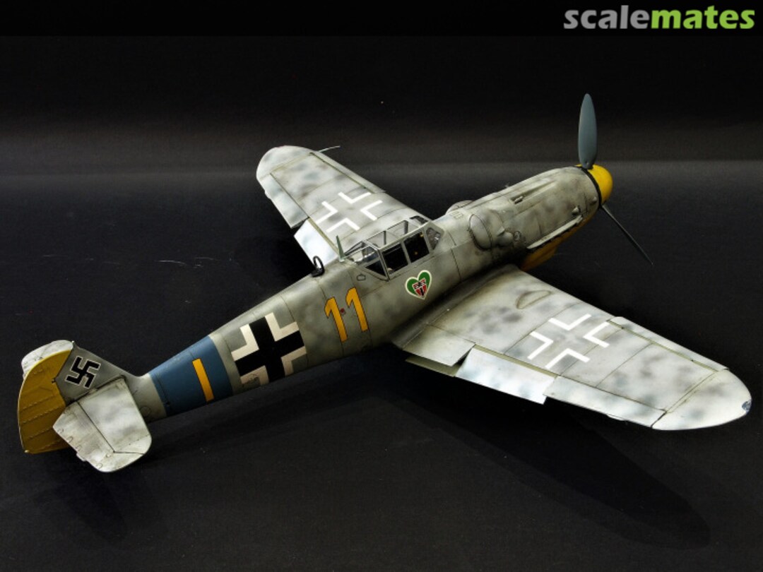 View album, image #5