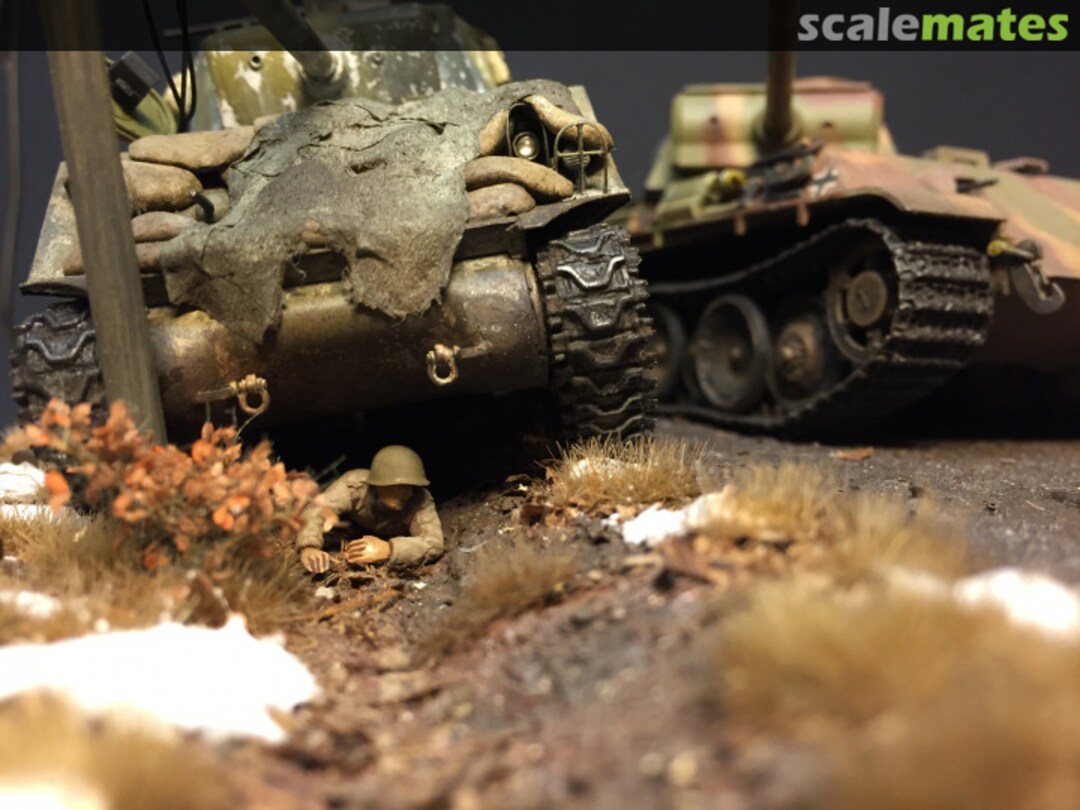 View album, image #1 View album, image #1