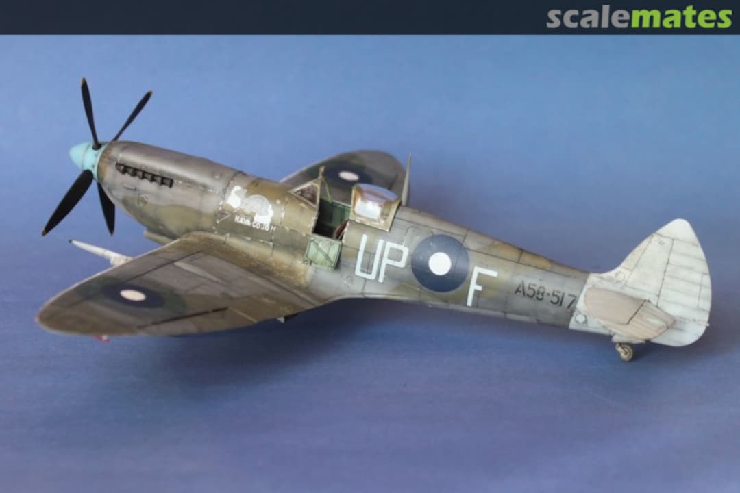 View album, image #20 View album, image #20