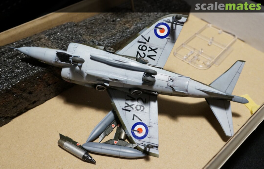 View album, image #16 View album, image #16