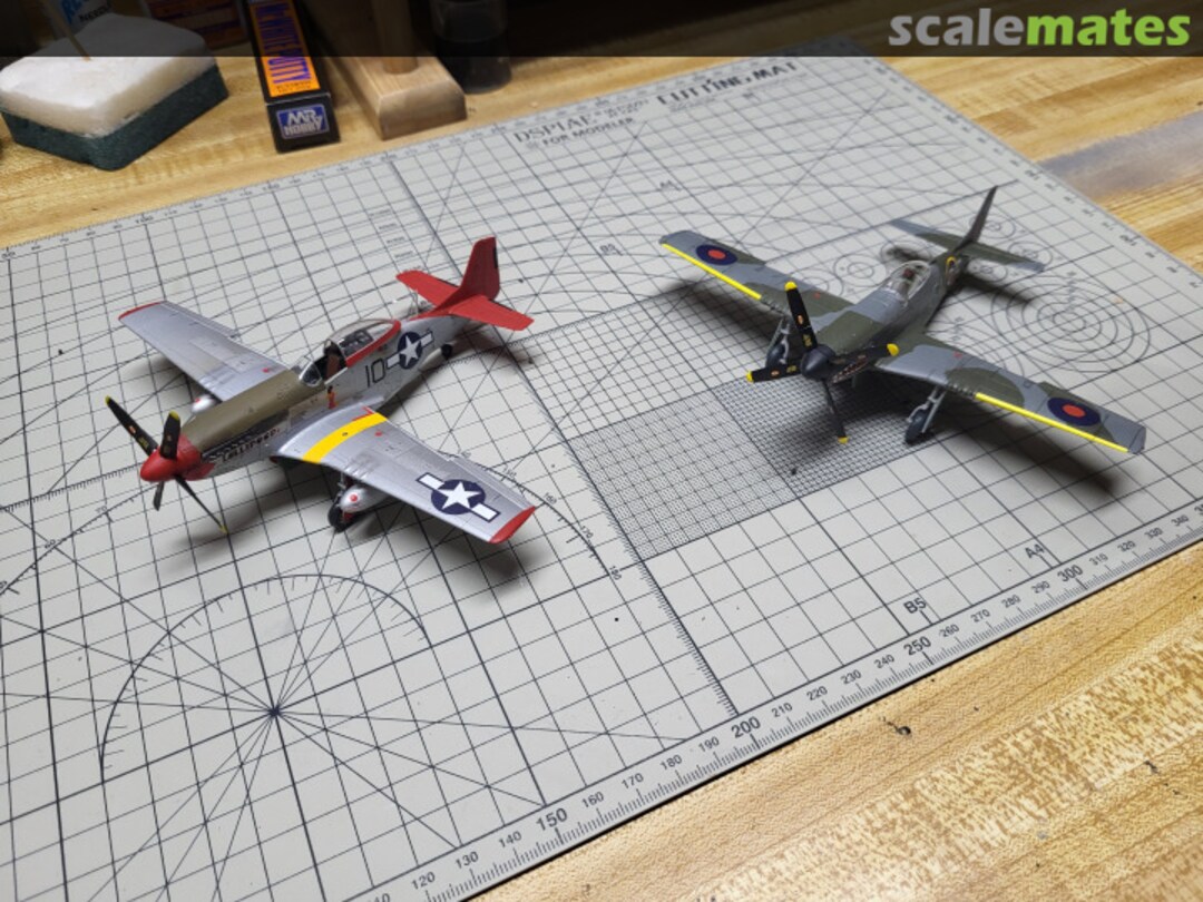 View album, image #2 View album, image #2