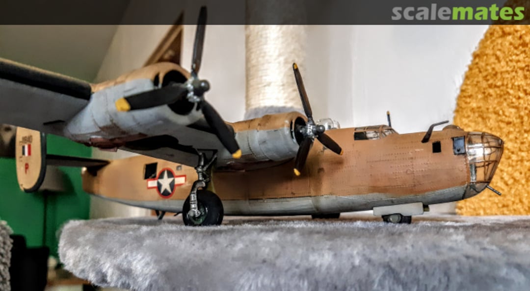 View album, image #1 View album, image #1