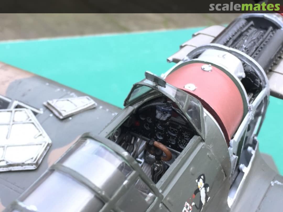 View album, image #1 View album, image #1