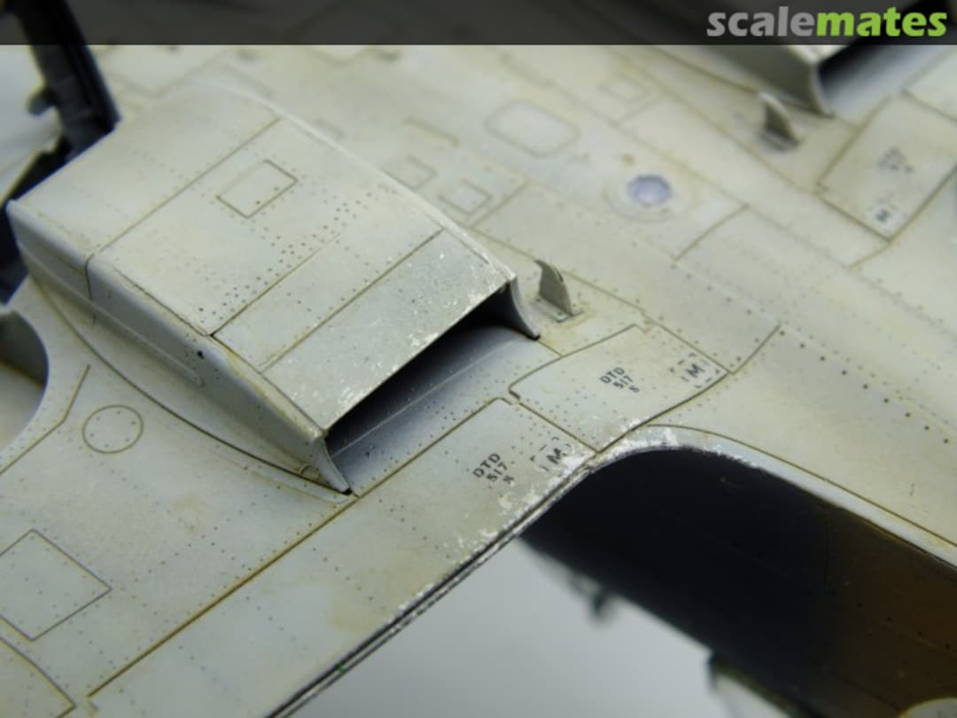 View album, image #1