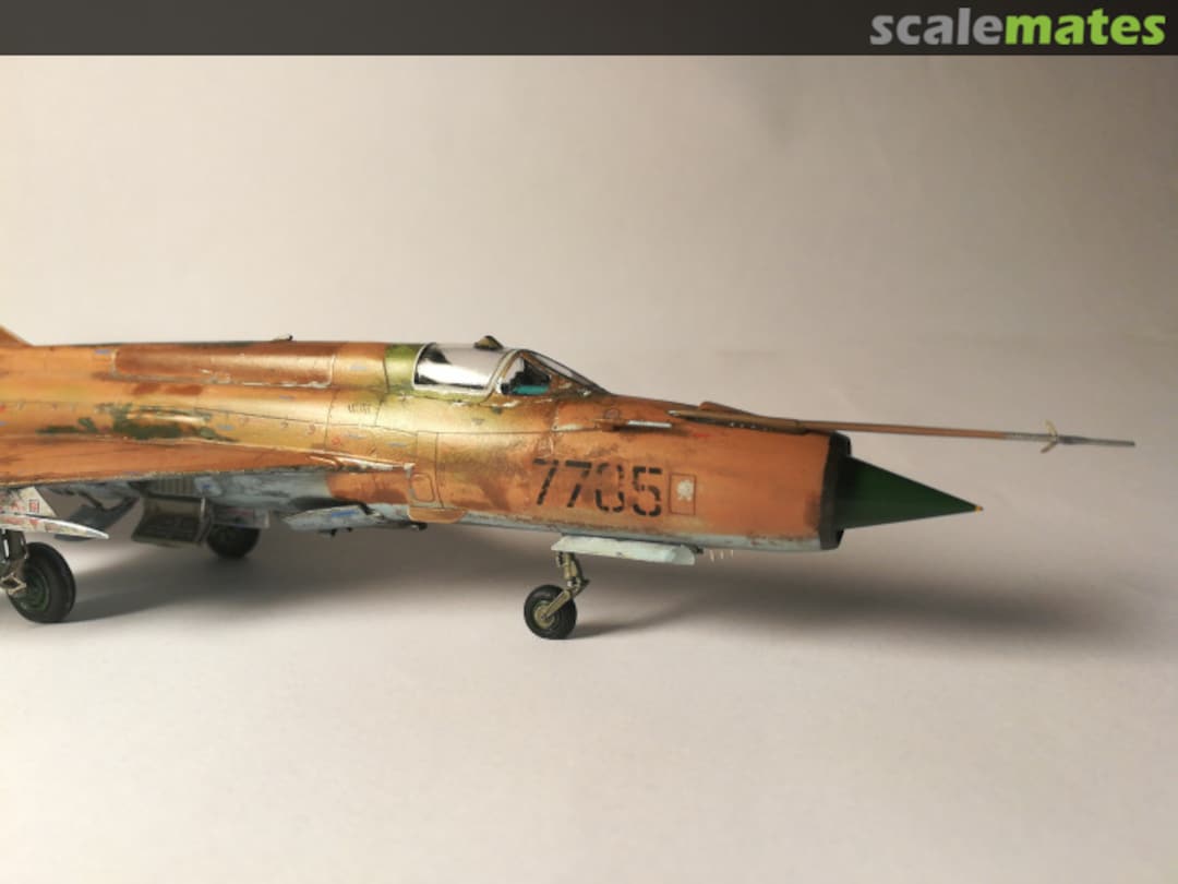 View album, image #5 View album, image #5