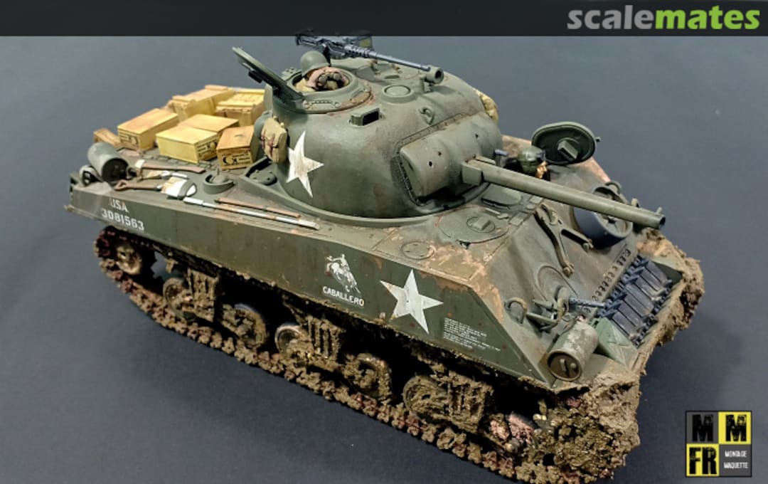 View album, image #77 View album, image #77