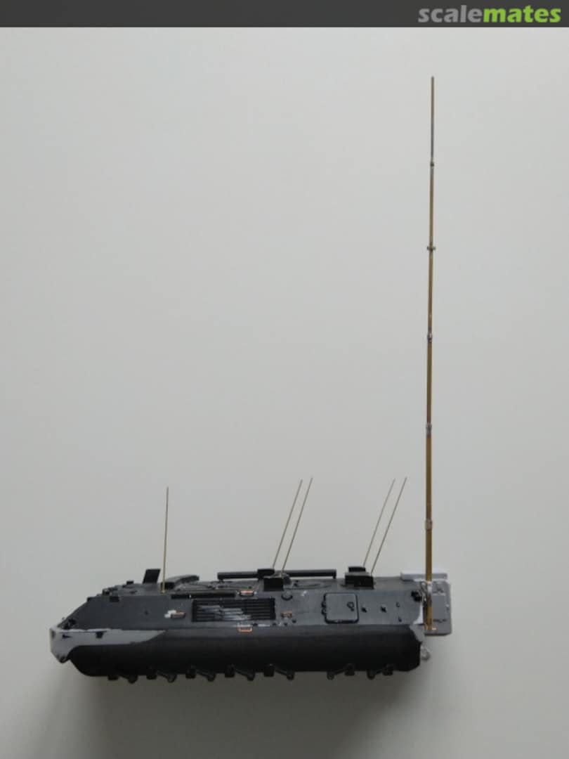 View album, image #30 View album, image #30