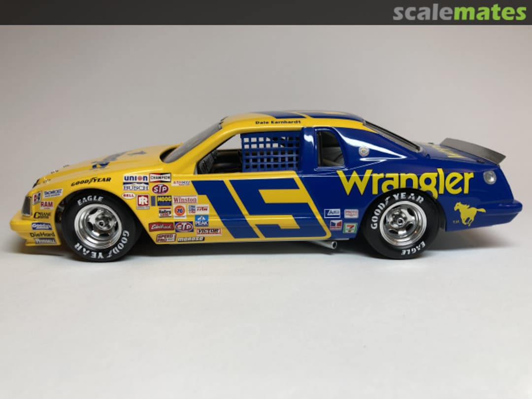 View album, image #1 View album, image #1