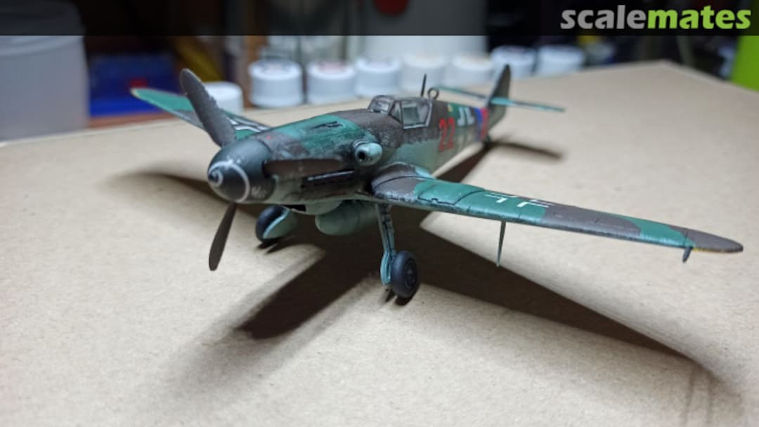 View album, image #1 View album, image #1