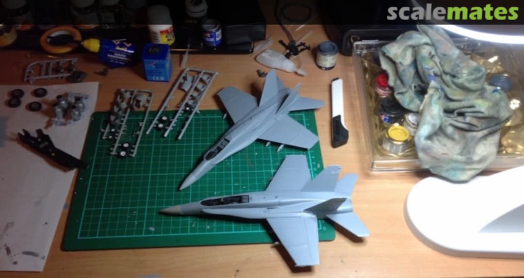 View album, image #1 View album, image #1