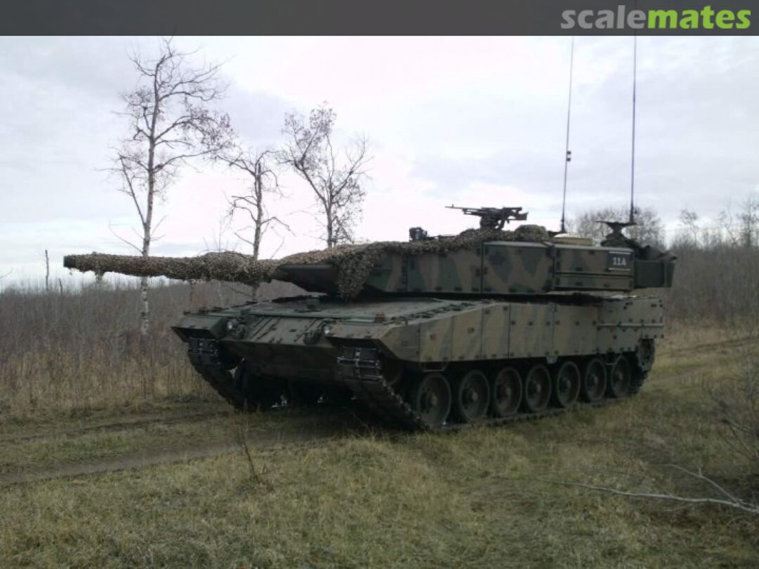 View album, image #1 View album, image #1