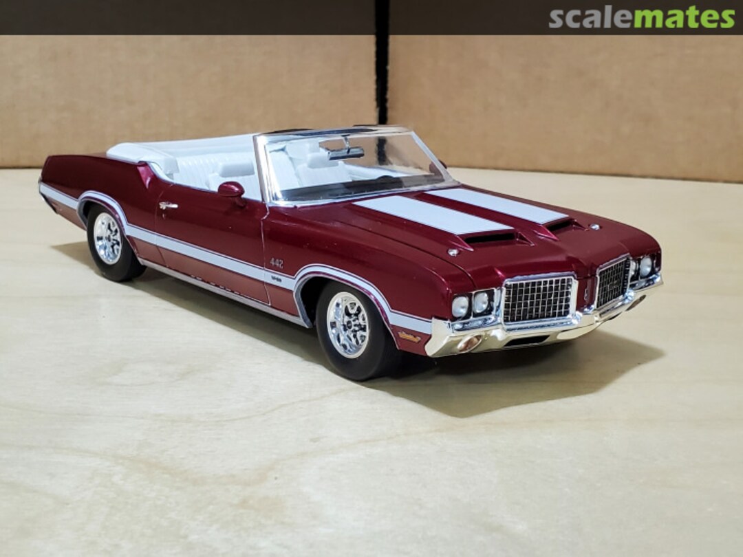 View album, image #1 View album, image #1