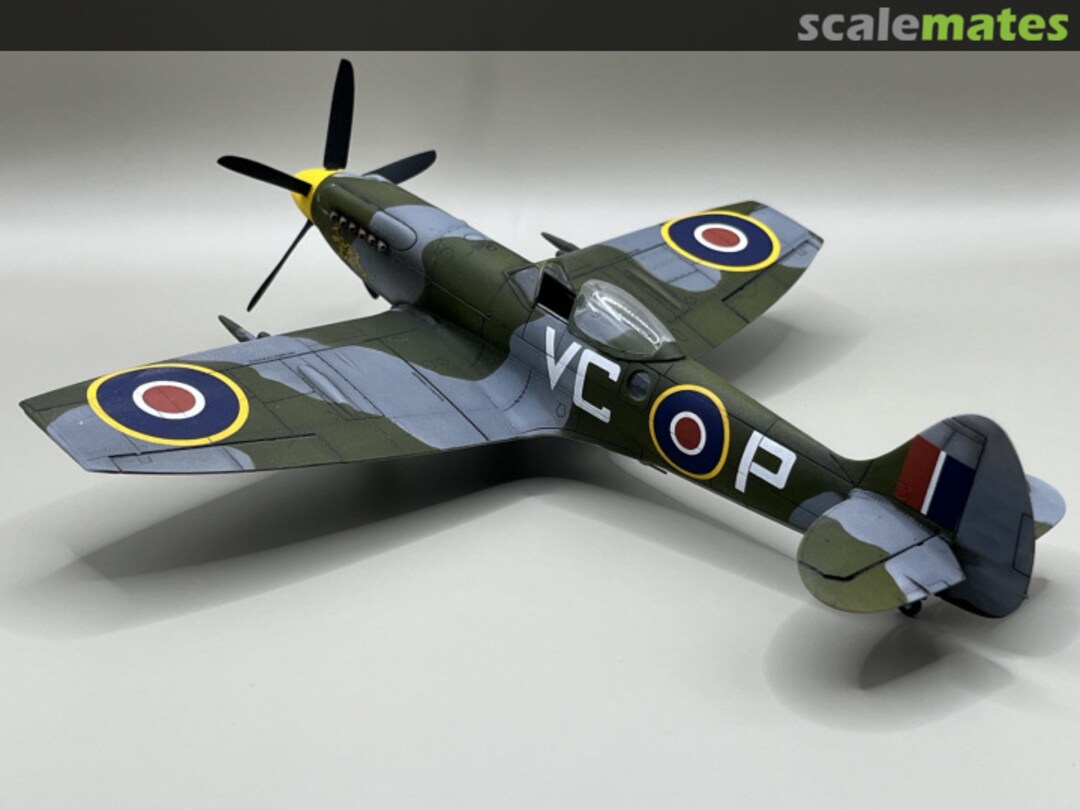 View album, image #7 View album, image #7