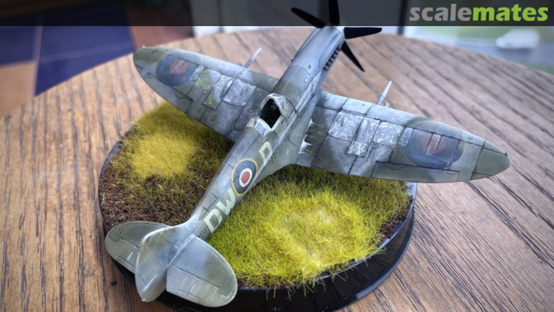 View album, image #24 View album, image #24