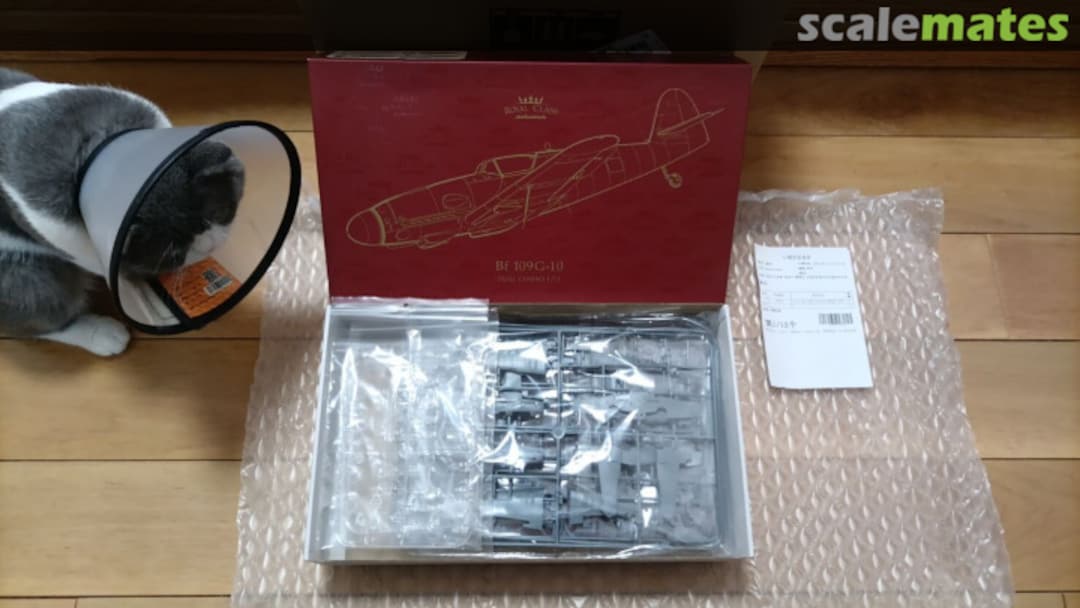 View album, image #2 View album, image #2