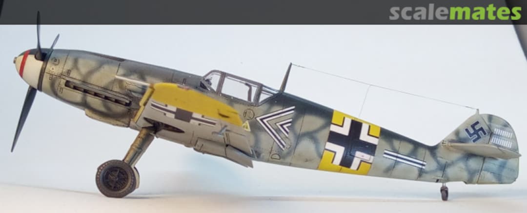 View album, image #17 View album, image #17