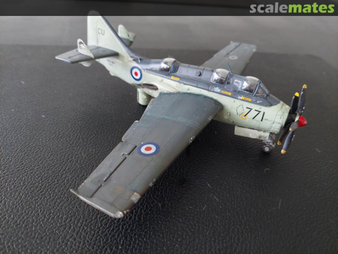 View album, image #1 View album, image #1