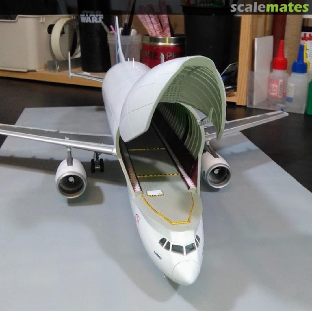 View album, image #1