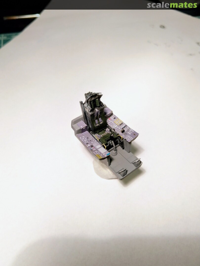 View album, image #1 View album, image #1