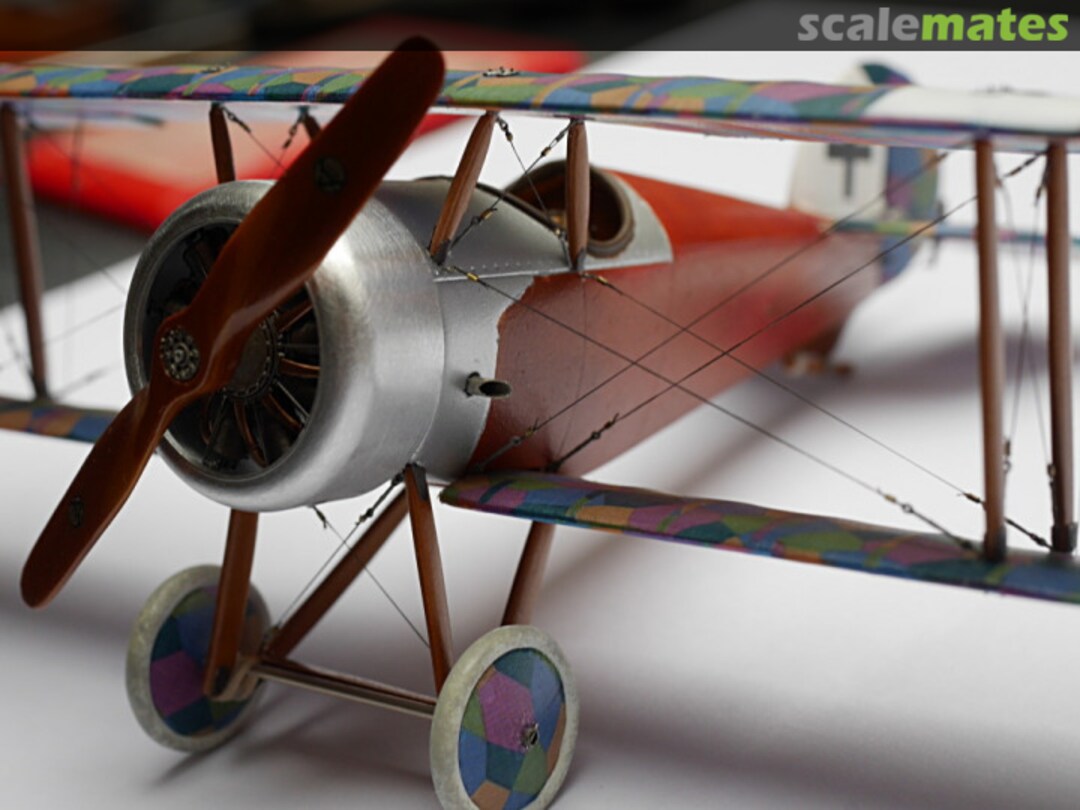 View album, image #94 View album, image #94