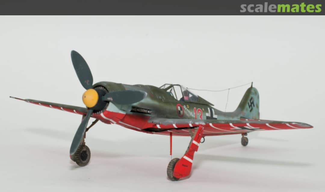 View album, image #10 View album, image #10