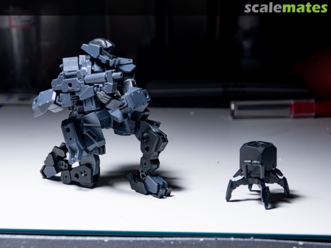 View album, image #24 View album, image #24