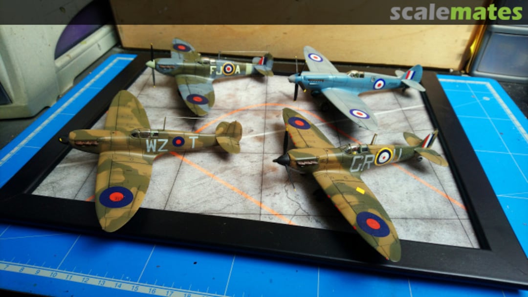 View album, image #36 View album, image #36