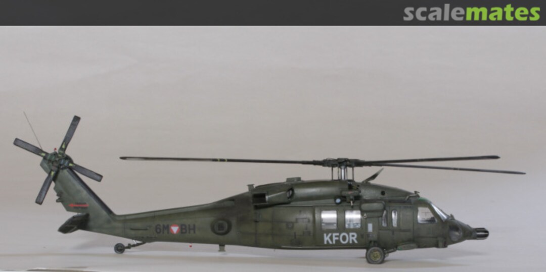 View album, image #31 View album, image #31