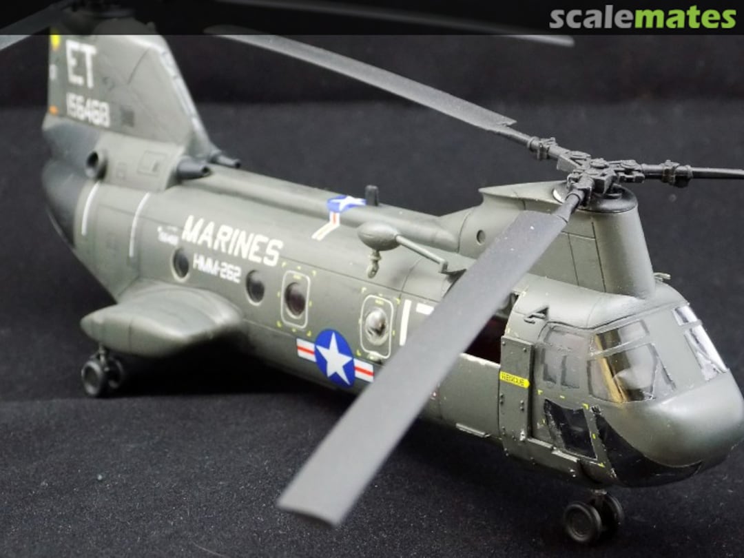 View album, image #1