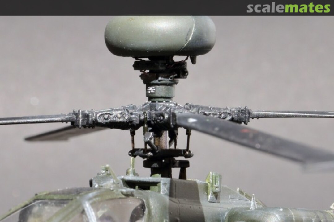 View album, image #1 View album, image #1