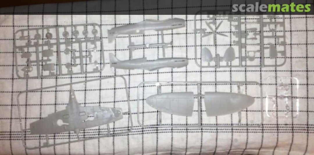 View album, image #1